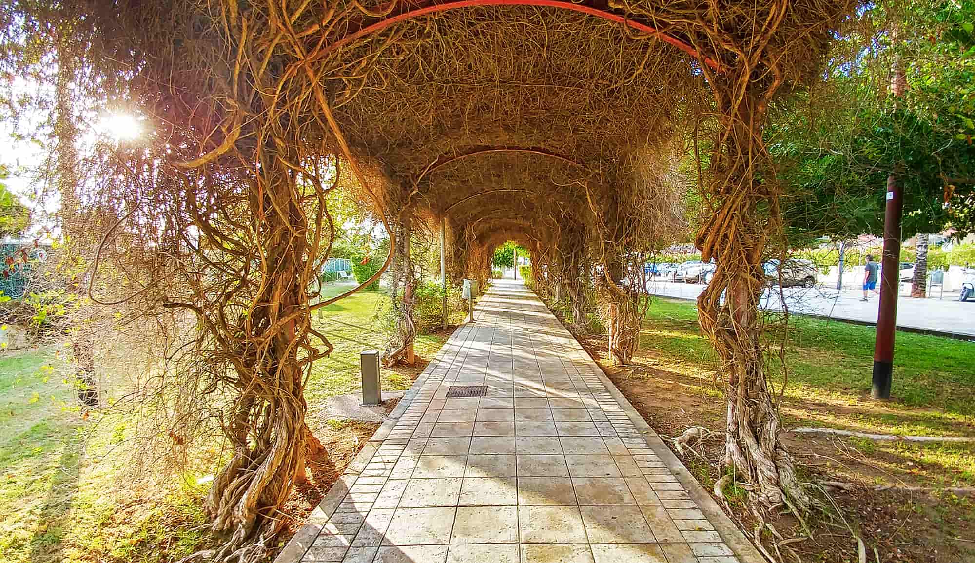 20160914_185106_HDR(1)-min
