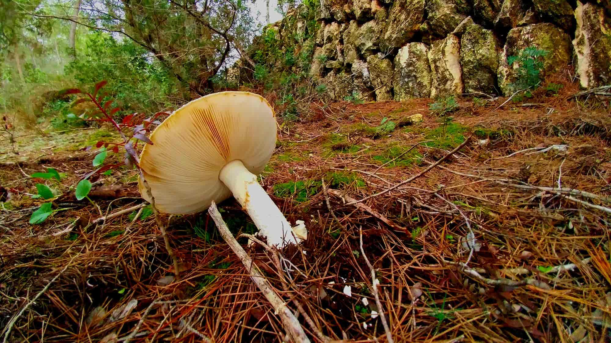 20161025_183801_2000-min