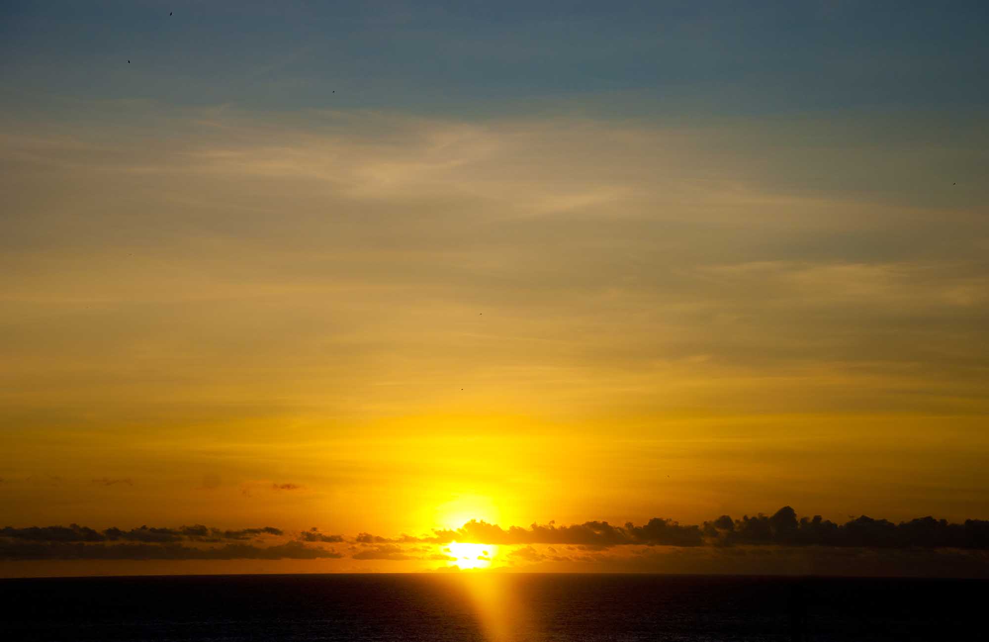 DSC_0066