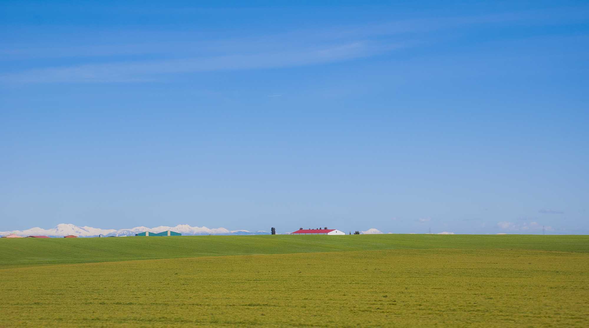 DSC_0099