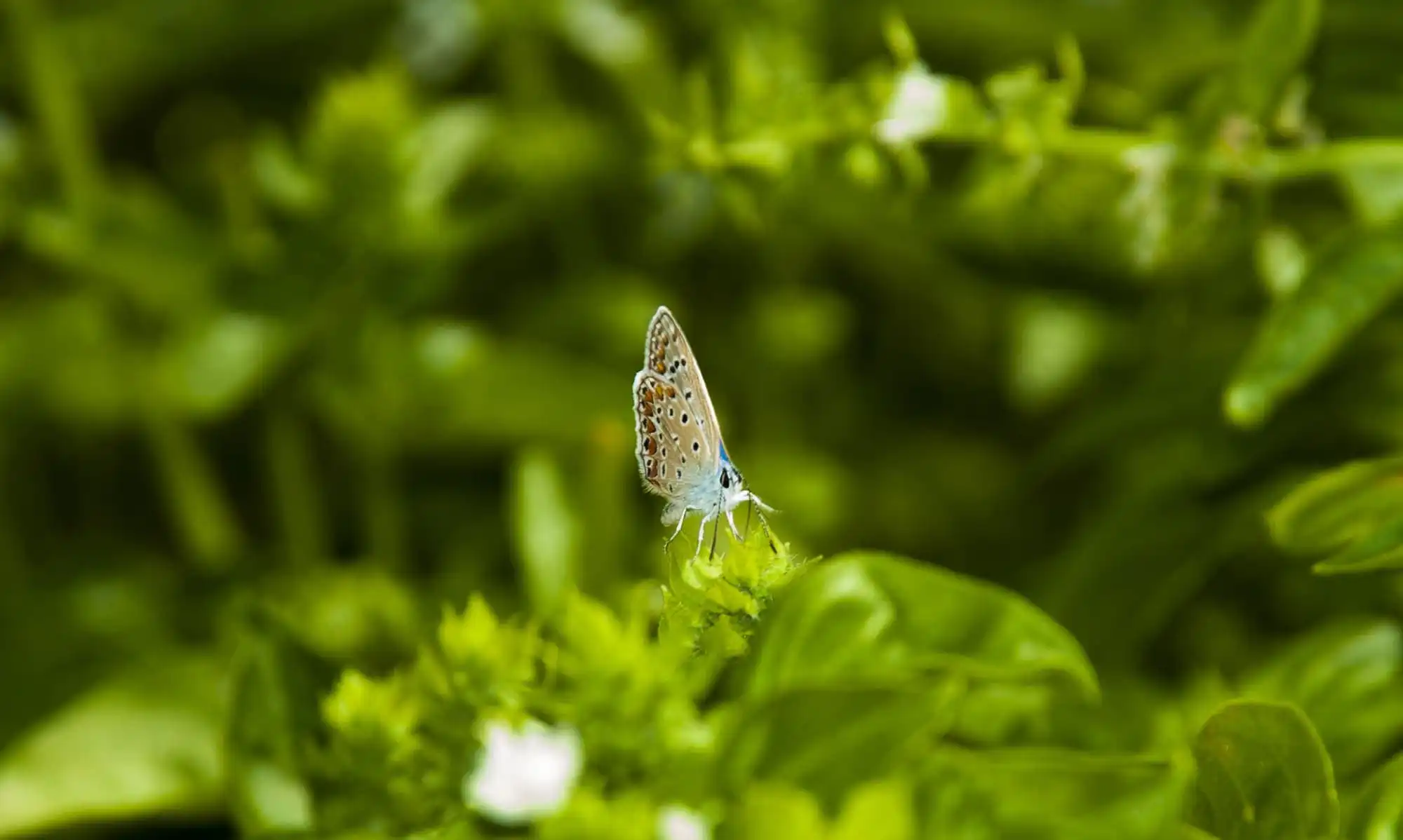 DSC_0260-min