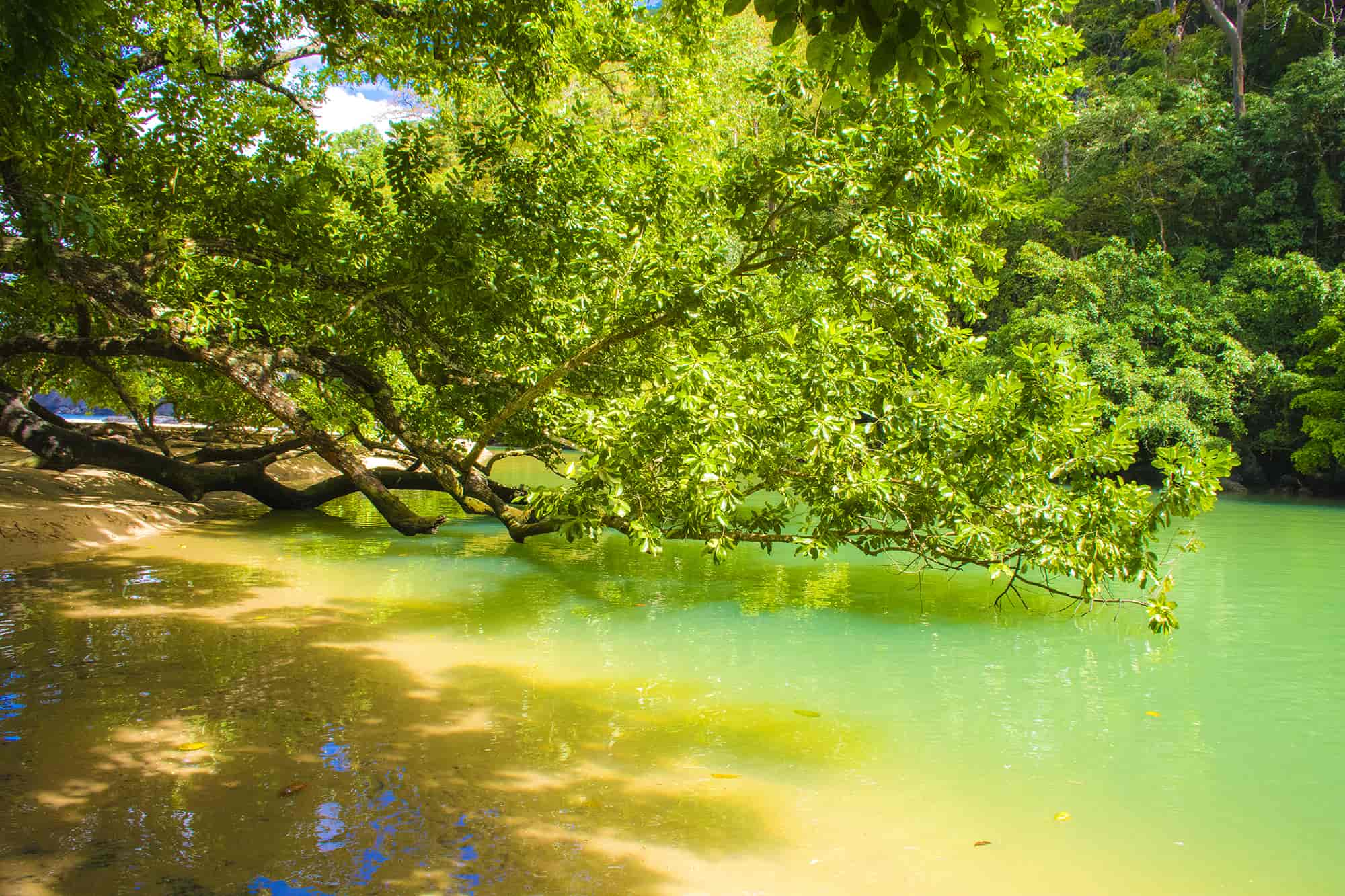 <? echo $img_files[$random];?>